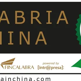 La Calabria verso la Cina: è online il portale