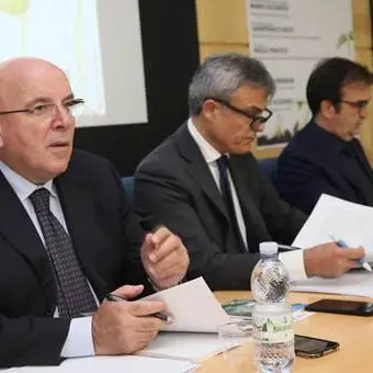 Oliverio a Cosenza:'Le regioni meridionali possono dare un contributo notevole alla crescita del Paese'