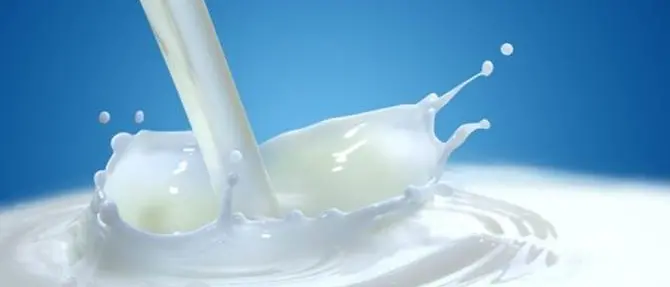 'Guerra del latte', proteste anche in Calabria