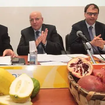 Psr, oltre un miliardo di fondi per la Calabria. Oliverio ha presentato il piano approvato dalla Commissione europea