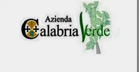 Calabria Verde: l'inchiesta si allarga