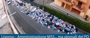 Anna Rita Leonardi (Pd) contro Grillo: 'Diffama Reggio Calabria'. Falcomatà: 'Morra chi?'