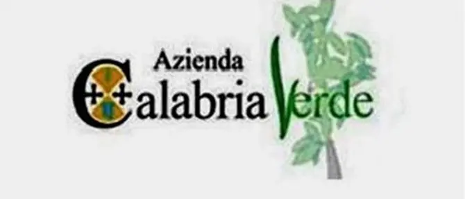 Calabria Verde, Oliverio: 'Accerteremo le responsabilità'