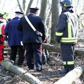 Incidente sul lavoro, trentenne muore schiacciato da un albero