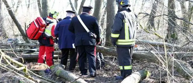 Incidente sul lavoro, trentenne muore schiacciato da un albero