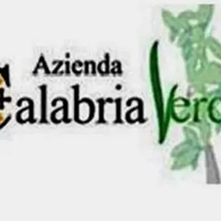 Calabria Verde, in Procura il dirigente Furgiuele