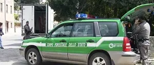 Legge di stabilità: in arrivo 20 milioni per i forestali calabresi. Il Pd: 'Proficua collaborazione tra governo e regione'