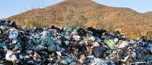 Sequestrata discarica abusiva nel vibonese: una denuncia