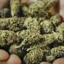 Reggio: fermato con circa 2 chili di marijuana in macchina, arrestato un giovane