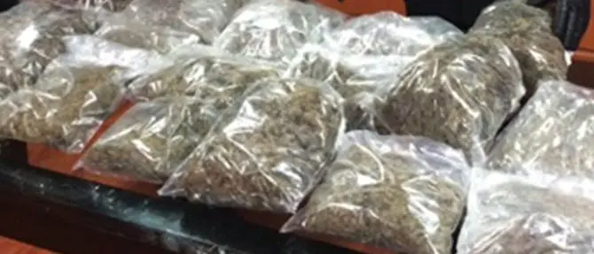 In auto con 13 Kg di marijuana, un arresto a Cosenza