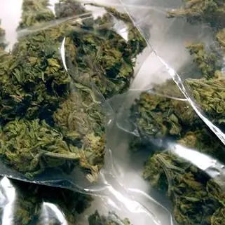 160 grammi di marijuana nella borsa: un arresto a Crotone