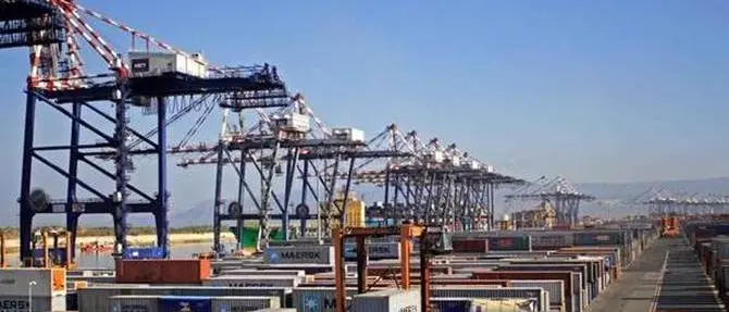 Maxi carico di cocaina al Porto di Gioia Tauro, era nascosto tra le banane |VIDEO