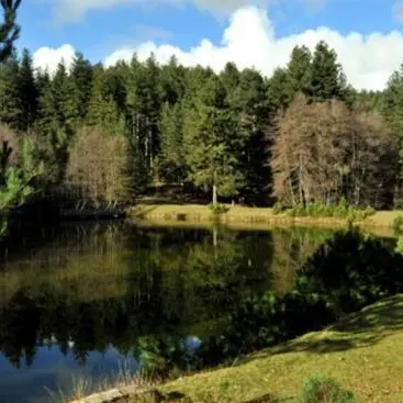 Parco nazionale della Sila nell’Unesco, ok al dossier candidatura |VIDEO