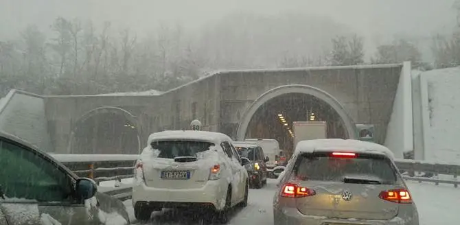 Disastro neve su A3, la commissione Anas: ' colpa dei mezzi senza catene e pneumatici da neve' VIDEO