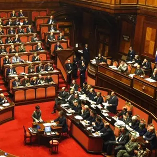 Il 'caso Cosenza' in Parlamento - VIDEO