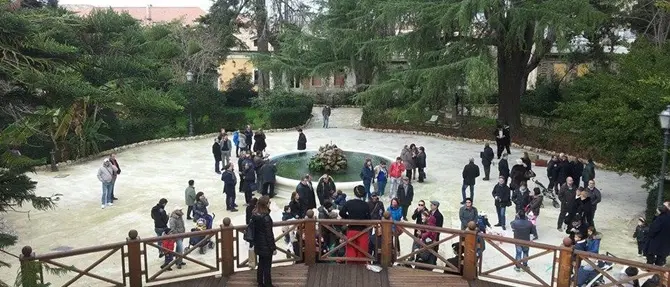 Cade un albero nella villa comunale di Vibo: ferito un operaio