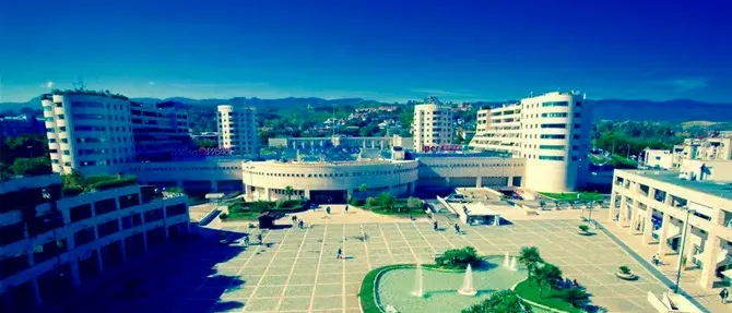 CosAngeles, 50 anni di affari (seconda parte)