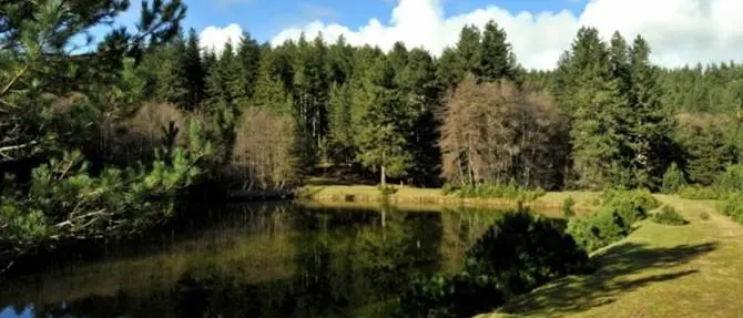 Il parco della Sila è l'area protetta più conosciuta d'Italia