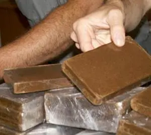 Nascondevano 1,7 kg di hascisc in casa, arrestati tre fratelli a Reggio
