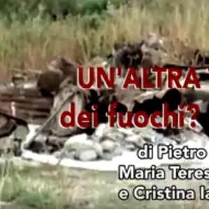 REPORTAGE - Calabria, un'altra terra dei fuochi?