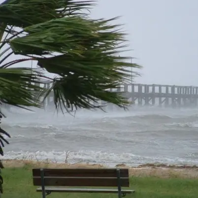 Reggio, cade un albero su un’auto: un morto