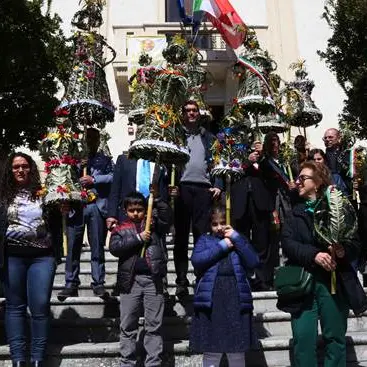 REPORTAGE - La processione delle Palme di Bova