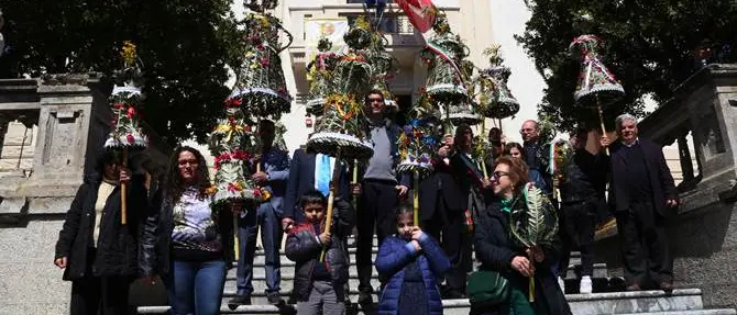 REPORTAGE - La processione delle Palme di Bova