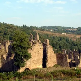 L’abbazia di Corazzo tra storia e cultura