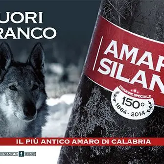 Amaro Silano …bevi fuori dal branco