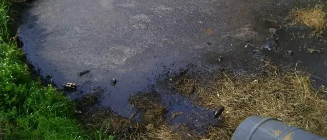 Acque reflue sversate nel terrreno, oleificio sequestrato nel reggino