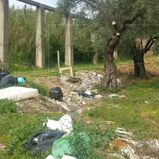 Lamezia, uliveto trasformato in discarica