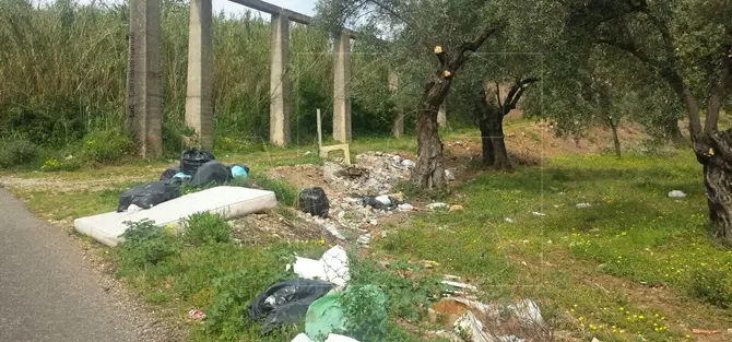 Lamezia, uliveto trasformato in discarica