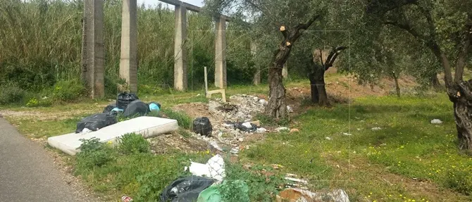 Lamezia, uliveto trasformato in discarica
