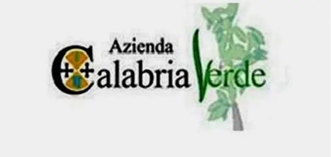 Calabria Verde: la Guardia di Finanza acquisisce gli atti sui Por