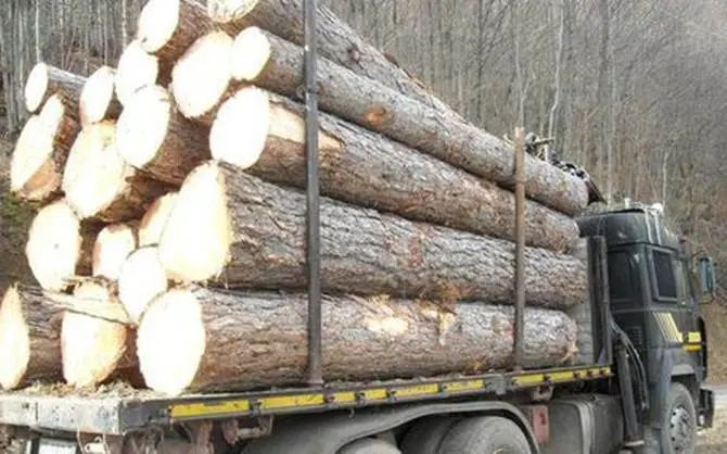 Inchiesta Calabria Verde, indagato anche Pignanelli - NOMI