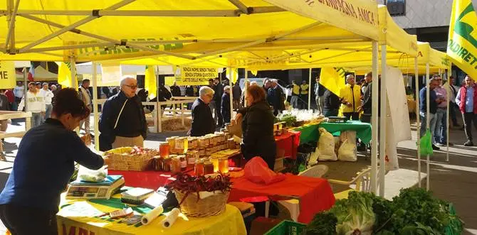 Cosenza, Coldiretti scende in piazza