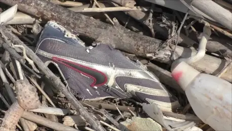 La spiaggia - discarica di Ginepri FOTO