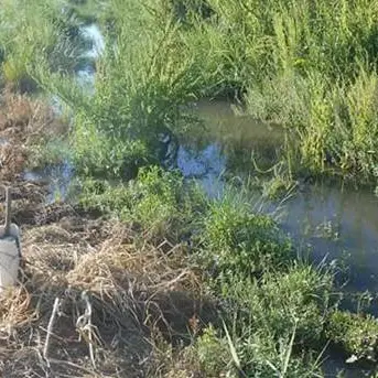 Nocera Terinese: saltano le condotte fognarie e la Coldiretti insorge. Partono gli esposti alla Procura