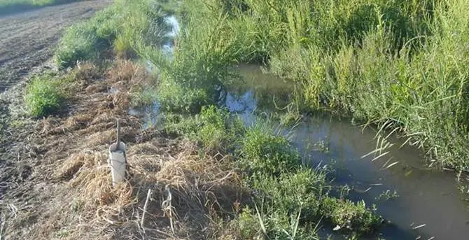 Nocera Terinese: saltano le condotte fognarie e la Coldiretti insorge. Partono gli esposti alla Procura