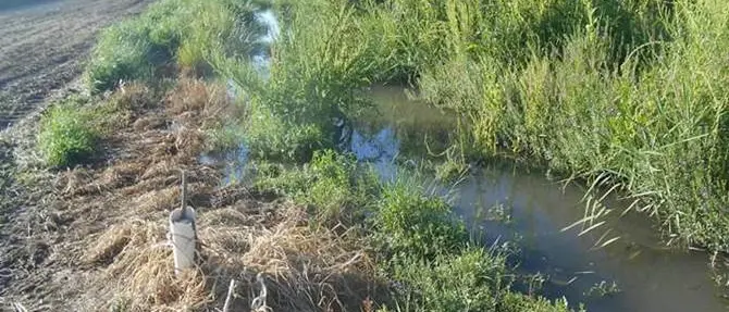 Nocera Terinese: saltano le condotte fognarie e la Coldiretti insorge. Partono gli esposti alla Procura