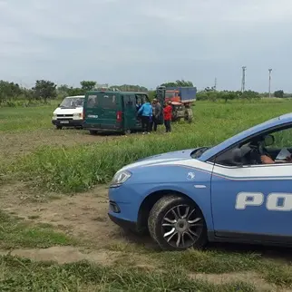 Blitz della Polizia nei campi di Nocera Terinese