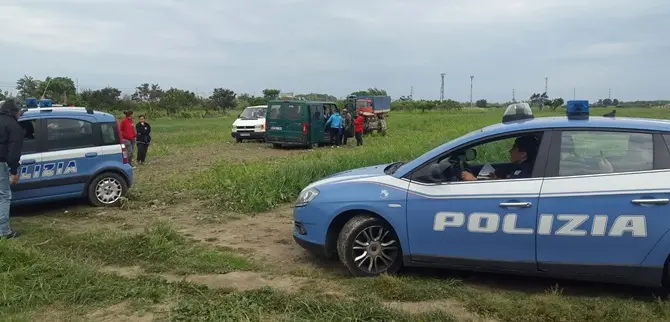 Blitz della Polizia nei campi di Nocera Terinese