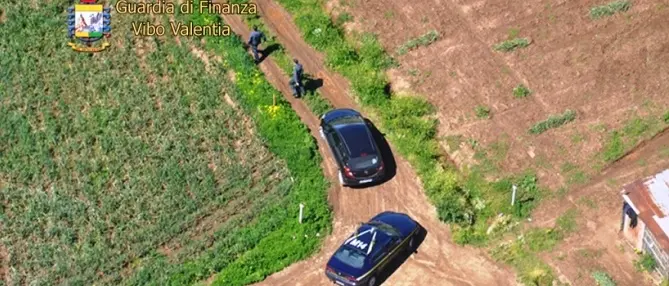 Vibo, percepivano illecitamente contributi comunitari: 149 denunce