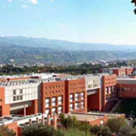 Unical: l’esito delle votazioni studentesche