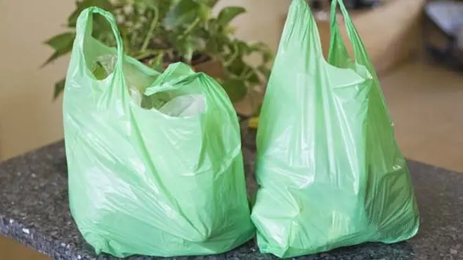 Green grocery bags , Getty Images/Flickr RF