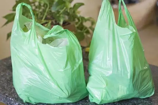 Green grocery bags , Getty Images/Flickr RF