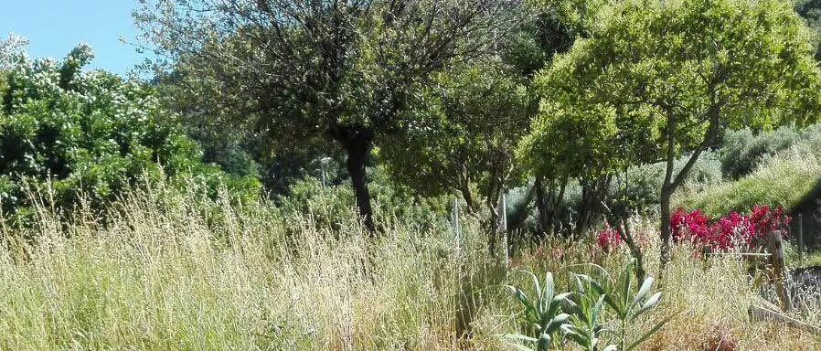 Lamezia, la denuncia di Fdi: ‘Incuria nella zona termale di Caronte’