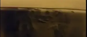 A fuoco l’auto del gestore della cooperativa ‘Malgrado Tutto’