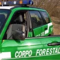 Sbancamento senza autorizzazione, sequestrata area nel cosentino