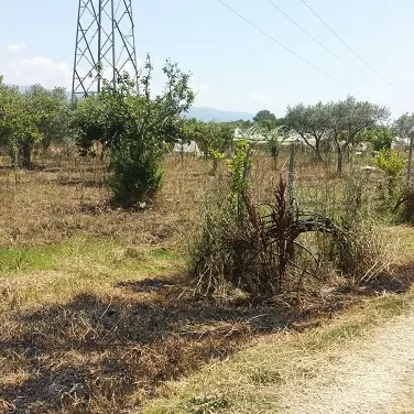 Intimidazioni a 'Progetto Sud' e a 'Goel Bio', la solidarietà dell’Arci Calabria